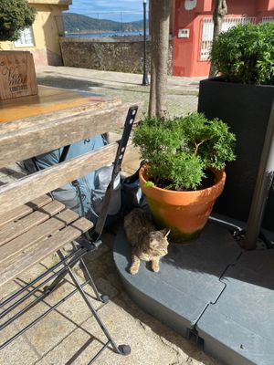  at etel&pan in Fisterra