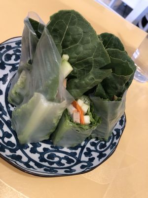 
A2. Summer roll 
  at Vegan Tree in Matawan