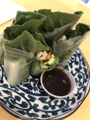 
A2. Summer roll 
  at Vegan Tree in Matawan