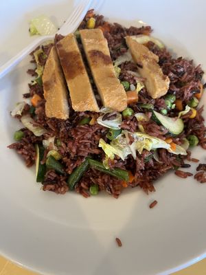 Vegan tried rice  at Vegan Tree in Matawan