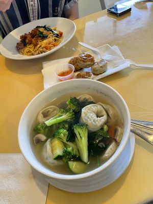 Wonton soup, potstickers, and linguini.   at Vegan Tree in Matawan