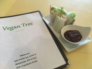 Summer rolls  at Vegan Tree in Matawan