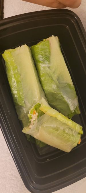 Summer Rolls at Vegan Tree in Matawan
