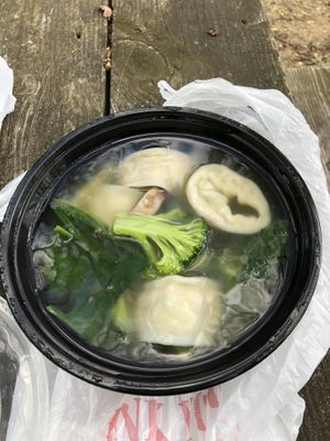 Vegetable wonton soup at Vegan Tree in Matawan