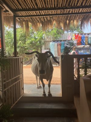 Customer at entrance  at Zest in Agonda