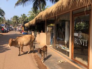 Bunti and Zest entrance  at Zest in Agonda