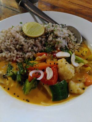 Thai curry at Zest in Agonda