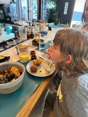 Delicious falafel    at Mahalo in Panama City