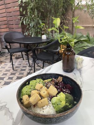 Vegan tofu bowl  at Mahalo in Panama City