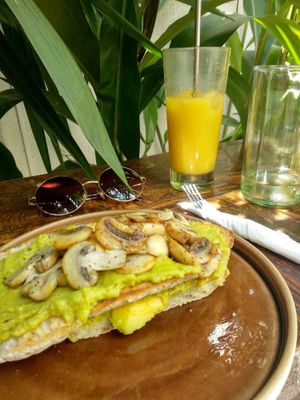 Avocado toast with grilled mushrooms at Mahalo in Panama City