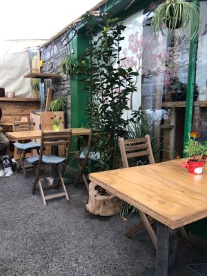 Covered seating area  at Beetroot Healthy Food and Veggie Island in Maynooth