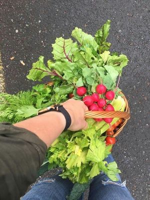 Only the freshest organic produce prepared with love! at Beetroot Healthy Food and Veggie Island in Maynooth