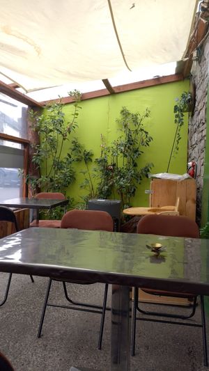 Covered outside area at Beetroot Healthy Food and Veggie Island in Maynooth