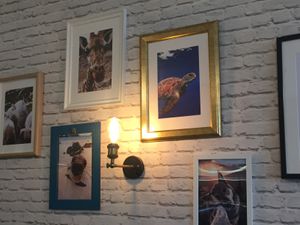 Décor  at Green Love in Marseille