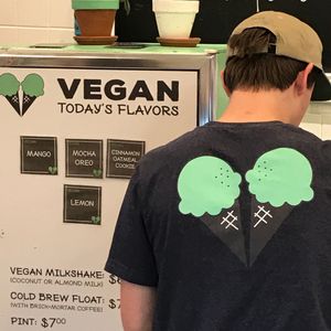 Vegan options  at Boombalatti's Ice Cream in Wilmington