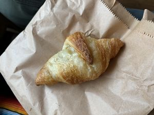   at DANA in Sheffield