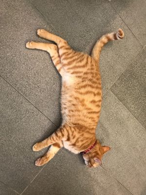 He is CEO. at Yī Dān Sì 一簞食 - Eatdansu in Yilan