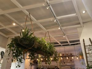 Interior 2  at The Butcher's Daughter - West Village in New York City