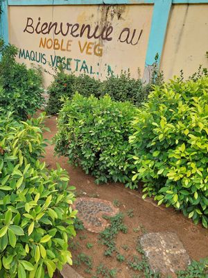 Sweet garden! at Noble Veg in Lome