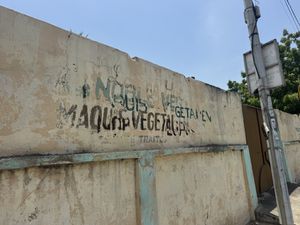   at Noble Veg in Lome