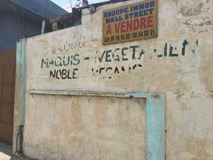  at Noble Veg in Lome