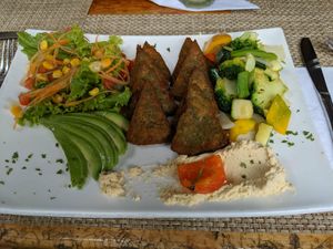 Falafel plate at El Jardin in Puerto Ayora