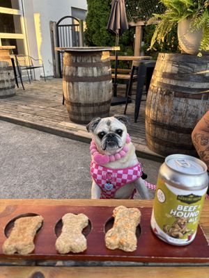 Dog flight   at Taps Brewhouse & Grill in Niagara Falls