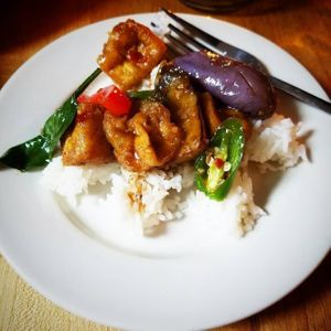 plated rice with stir-fried tofu and Thai eggplant with peppers, onions, and basil at Khun Nine Thai in Baltimore