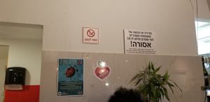 Vegan! at Michelangelo Cafe in Tel Aviv