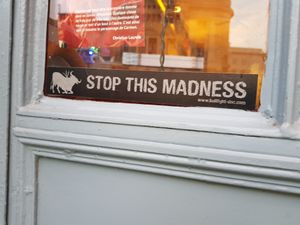 Love this at Frida's in Perpignan