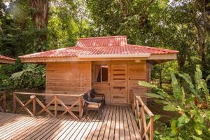 Our family bungalow suite sleeps four and is in the heart of our jungle gardens. It has a private bath and even a small kitchen.  Our property is on a beautiful river, and has a newly refurbished outdoor pool for rejuvenation every day of the year (it's never cold in Costa Rica).  at El Mono Feliz in Ojochal De Osa