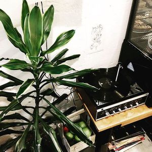 Atmosphere at Sereda in Kyiv