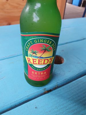 Ginger beer at Aviv - Old Town in Portland
