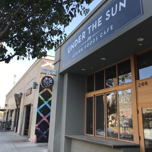 Raw food love! at Under the Sun Cafe in Long Beach