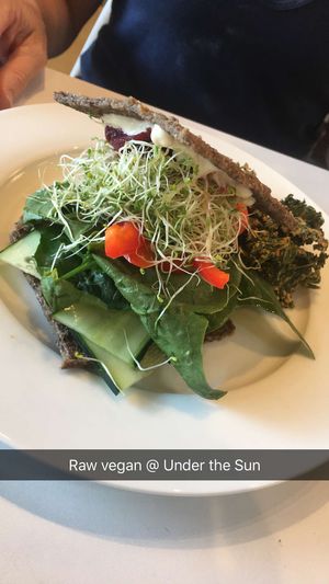 LBC Sandwich at Under the Sun Cafe in Long Beach