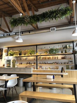 Gorgeous place! Really cozy at Under the Sun Cafe in Long Beach