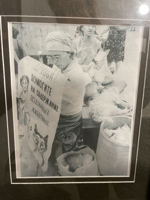 Inside  at Chef Tanya's Kitchen in Palm Springs
