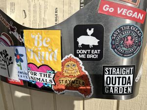   at Chef Tanya's Kitchen in Palm Springs