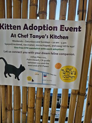  at Chef Tanya's Kitchen in Palm Springs