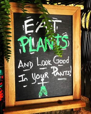 Eat plants! at Chef Tanya's Kitchen in Palm Springs