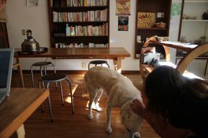 Sabu chan is so friendly  at Nabana in Amagasaki