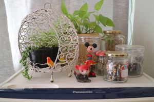 Beautiful devour  at Nabana in Amagasaki