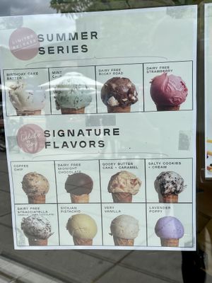 Options June 2021 at Gelato Boy - Pearl in Boulder