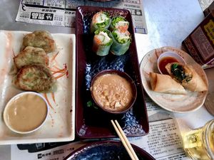 vegan dumplings (wasabi), tofu spring rolls with peanut sauce and fried spring rolls at Myers + Chang in Boston