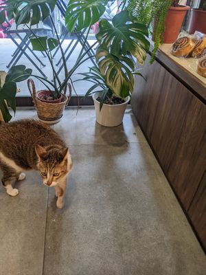  at HiPizza in Taipei