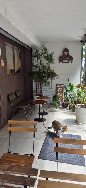 Outside (cat!!) at HiPizza in Taipei