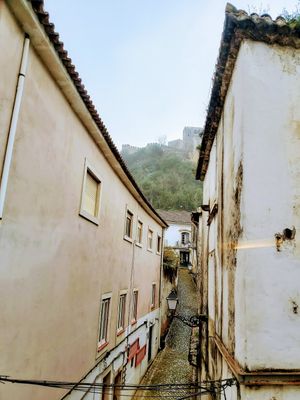 View from the dining room at Cardamomo in Leiria