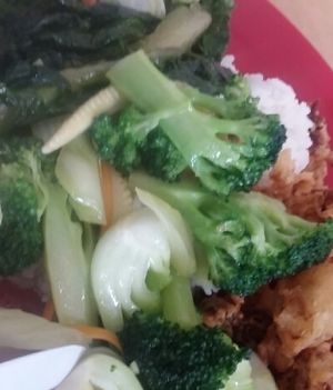 veggie rice at Chow's Family Vegetarian Restaurant in Johor Bahru