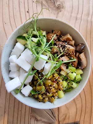 Buddha bowl with vg feta at The Beach House in Edinburgh