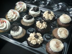 Cupcakes! at The Cupcake Girl in Houston